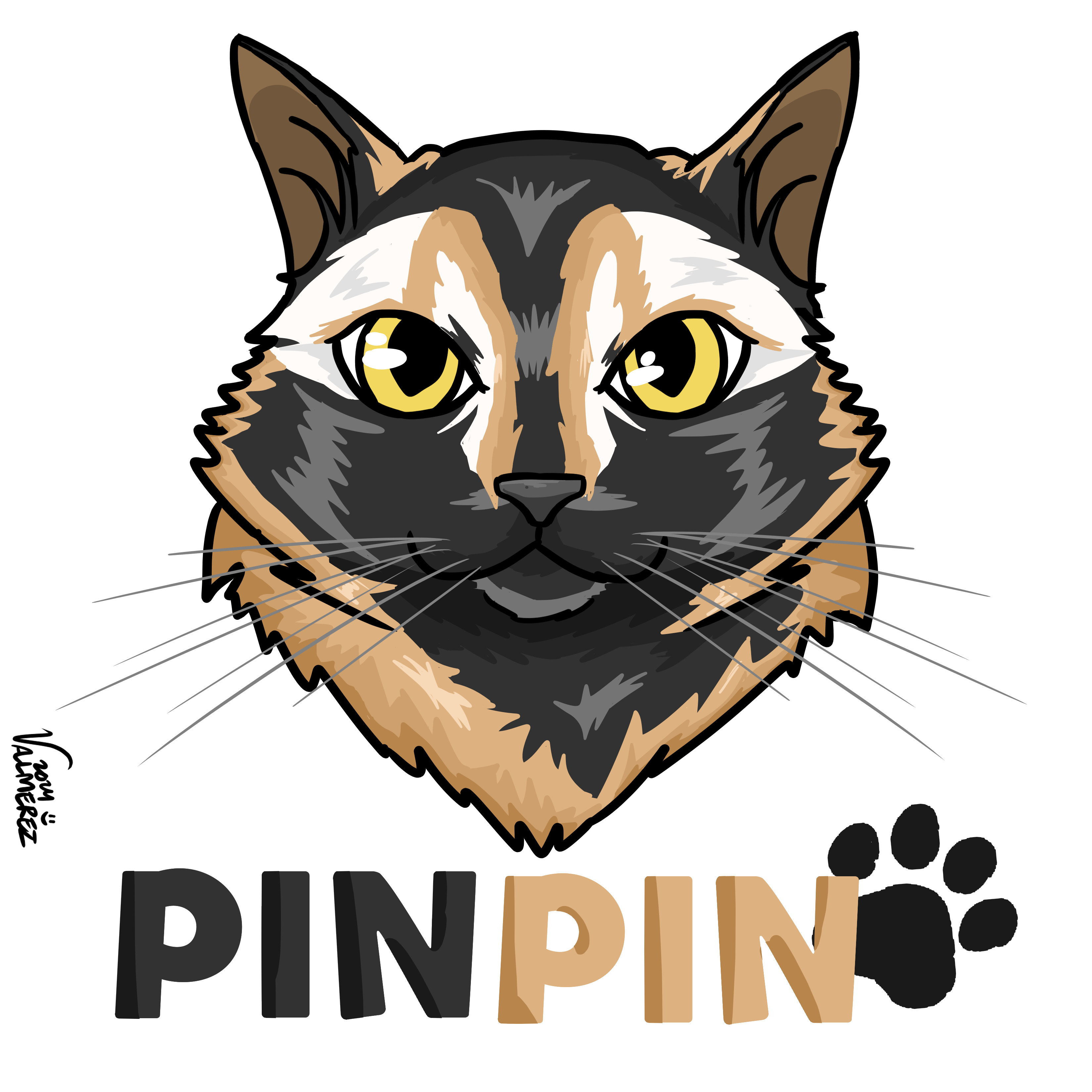 PINPIN.png-6